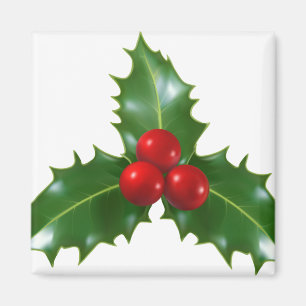 Mistletoe Magnet