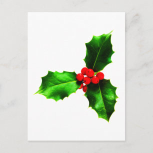 Mistletoe Postcard
