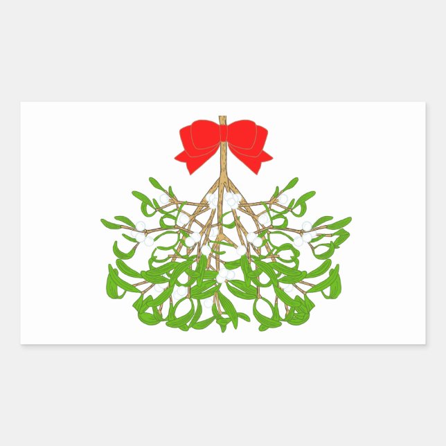 Mistletoe Rectangular Sticker (Front)