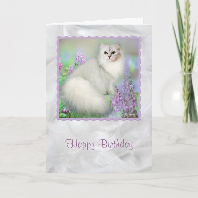 Mistletoe the Silver Persian Cat Birthday Card (Front)
