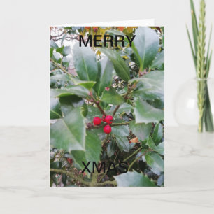 Mistletoe with red berries. card