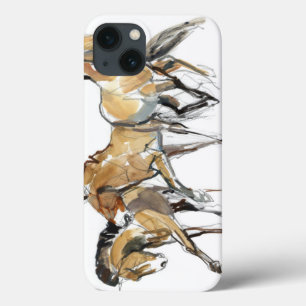Mistral Three iPhone 13 Case