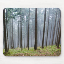 Misty Autumn Forest Relaxation