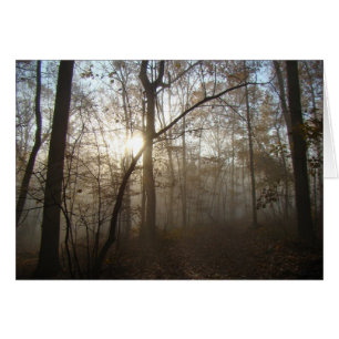 Misty Autumn Morning in the Forest #1