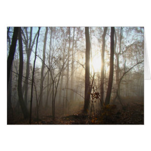 Misty Autumn Morning in the Forest #3