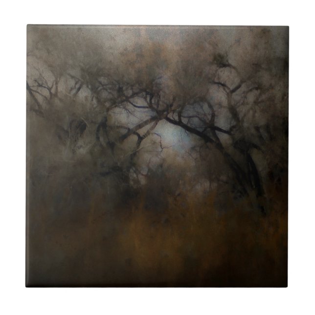 Misty Cottonwoods Ceramic Tile (Front)