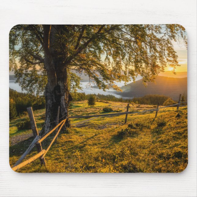 Misty Dawn in a Forest Mouse Pad (Front)