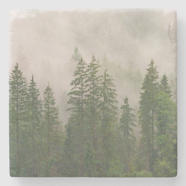 Misty Foggy Forest Trees Stone Coaster (Front)