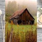 Misty Forest and Flowers Surround a Weathered Barn