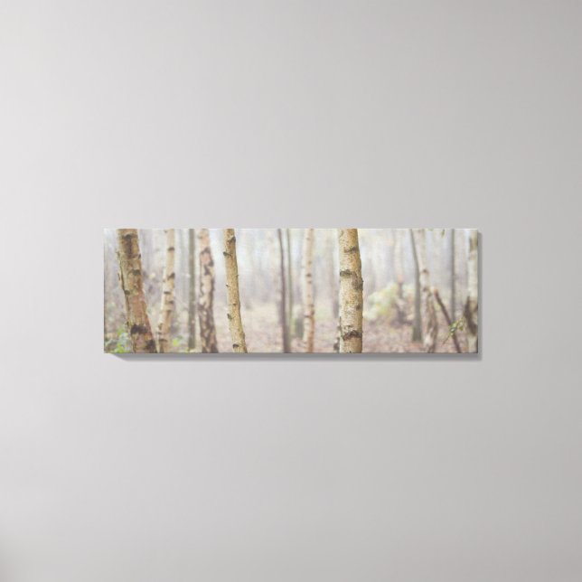 MISTY FOREST CANVAS PRINT (Front)