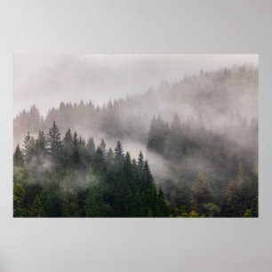 Misty Forest in the Mountains Poster