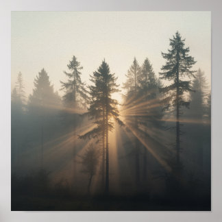 Misty Forest Morning Landscape Poster