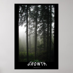 Misty Forest Motivational Photo Print