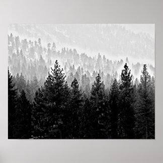 misty forest poster