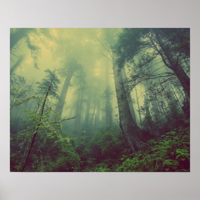 Misty Forest Poster (Front)