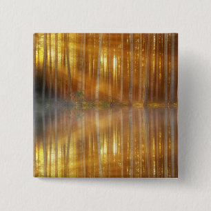 Misty Forest Scene 15 Cm Square Badge