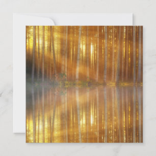Misty Forest Scene Card