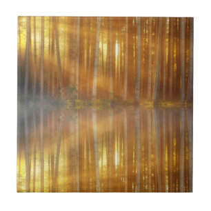 Misty Forest Scene Ceramic Tile