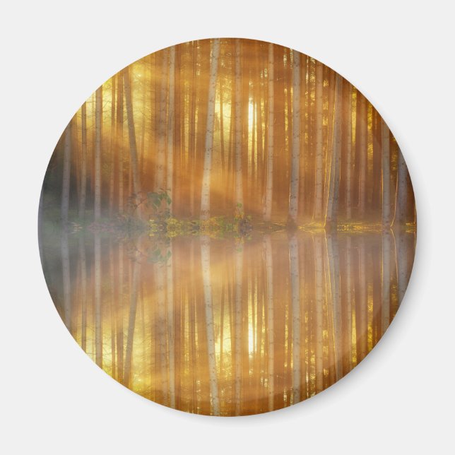 Misty Forest Scene Magnet (Front)