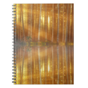 Misty Forest Scene Notebook
