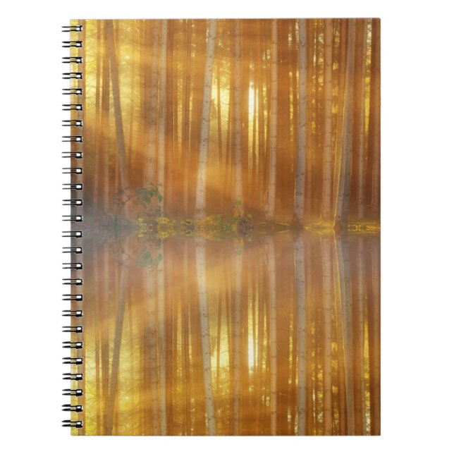 Misty Forest Scene Notebook (Front)