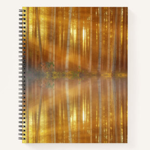 Misty Forest Scene Notebook