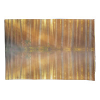 Misty Forest Scene