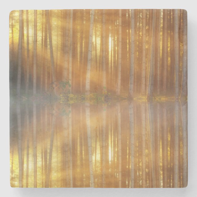 Misty Forest Scene Stone Coaster (Front)