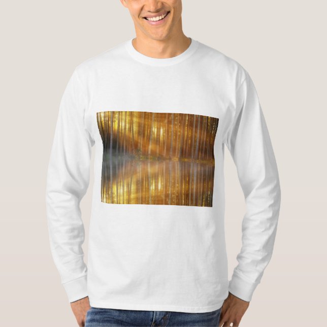 Misty Forest Scene T-Shirt (Front)