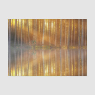 Misty Forest Scene Tissue Paper
