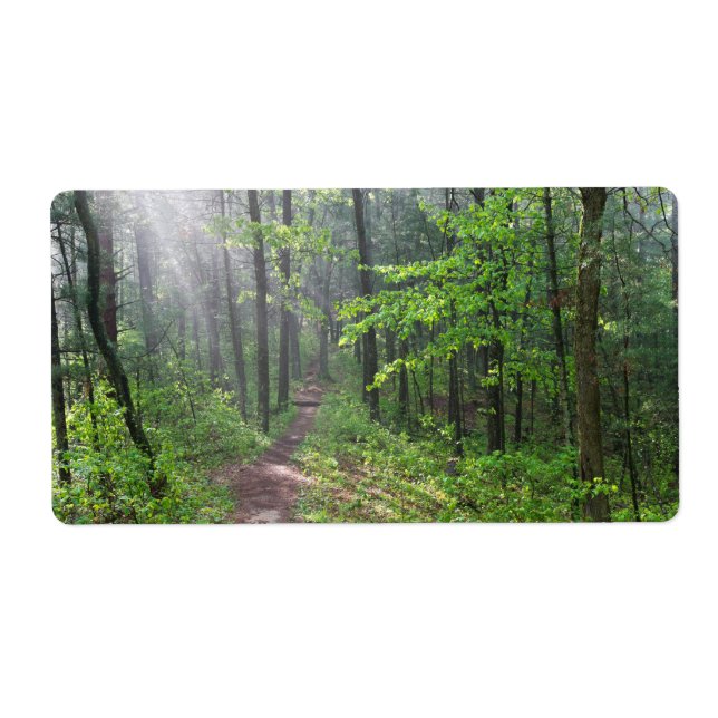 Misty Forest Trail at Castle Mound (Front)