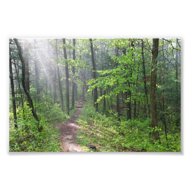 Misty Forest Trail at Castle Mound Photo Print (Front)