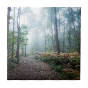 Misty Forest Walk Ceramic Tile