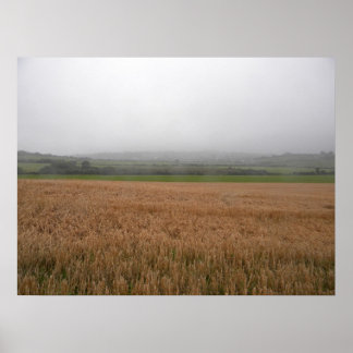 Misty Irish Meadow Print