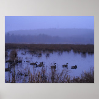 Misty Marsh Photographer Poster