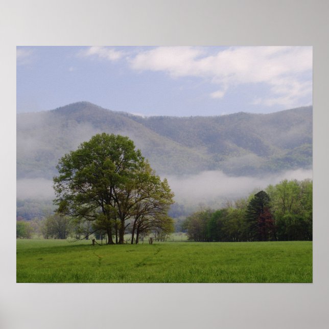 Misty meadow and Rich Mountain, Cades Cove, Poster (Front)