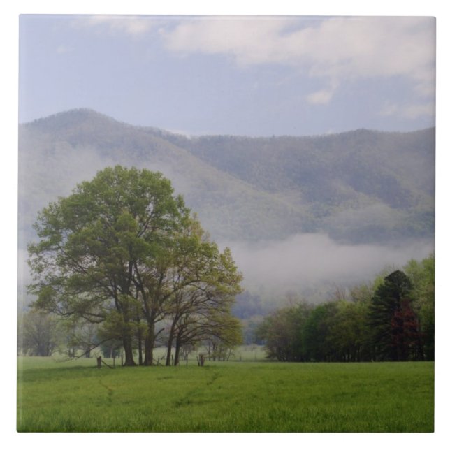 Misty meadow and Rich Mountain, Cades Cove, Tile (Front)