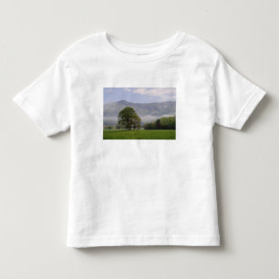 Misty meadow and Rich Mountain, Cades Cove, Toddler T-Shirt