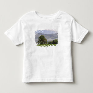 Misty meadow and Rich Mountain, Cades Cove, Toddler T-Shirt