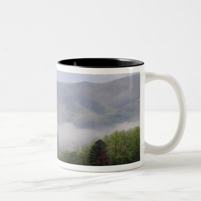 Misty meadow and Rich Mountain, Cades Cove, Two-Tone Coffee Mug (Right)