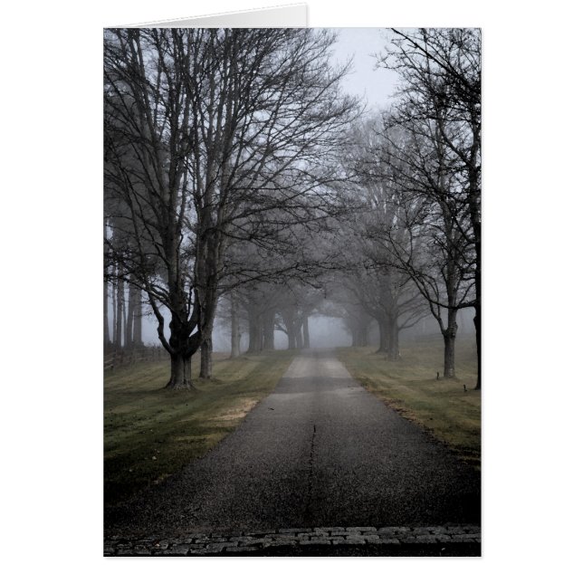 Misty Morning in Maine (Front)