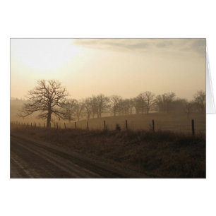 Misty morning in March