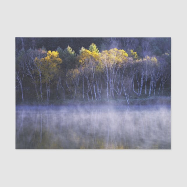 Misty Morning Lake Tissue Paper (Front)