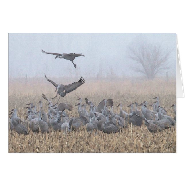 Misty Morning Nebraska Landing (Front Horizontal)
