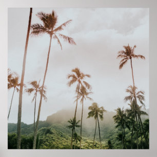 Misty Morning Palms in Oahu, Hawaii Poster