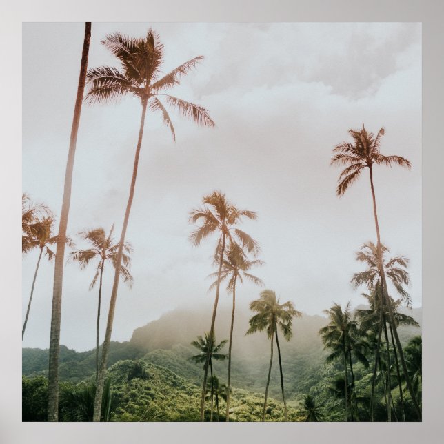 Misty Morning Palms in Oahu, Hawaii Poster (Front)