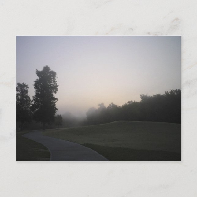 Misty Morning Path Postcard (Front)
