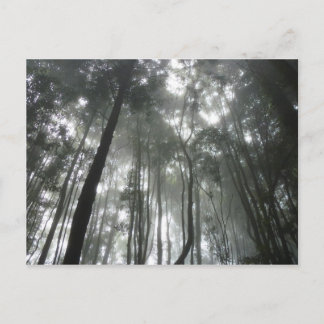 Misty Mountains postcard