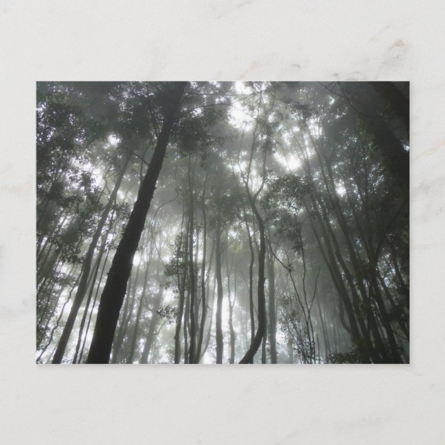 Misty Mountains postcard (Front)