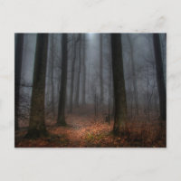 Misty Path to Flat Top Mountain